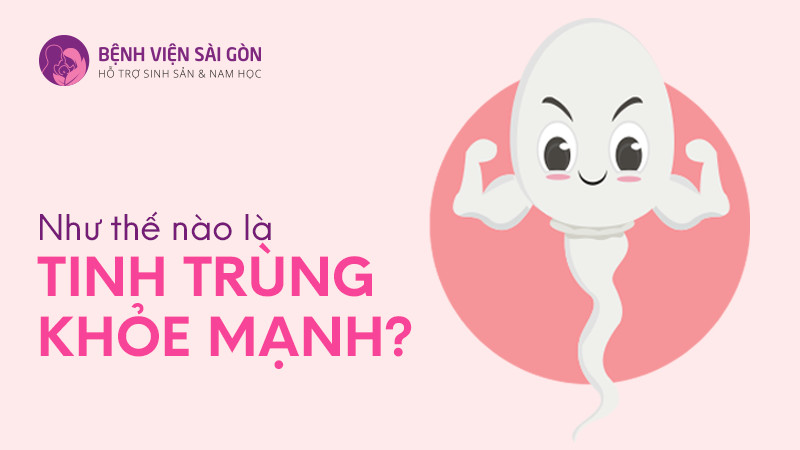 Như thế nào là tinh trùng khỏe mạnh