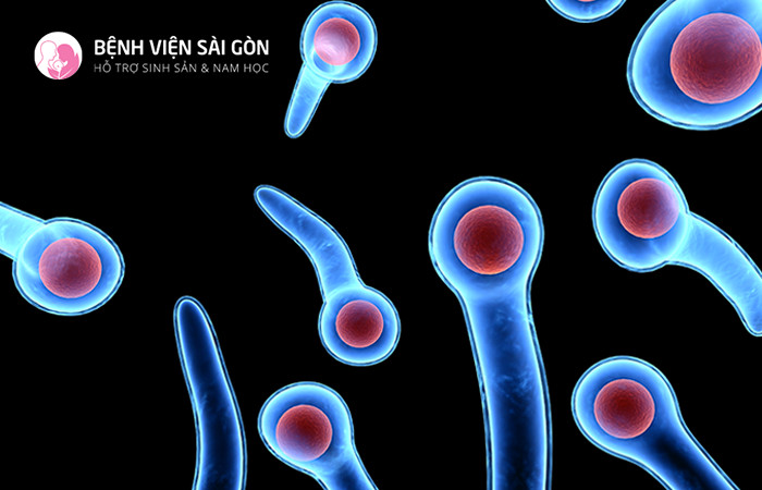 Vi khuẩn Clostridium tetani là nguyên nhân gây nên uốn ván