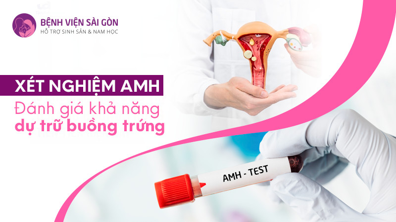 Xét nghiệm AMH: Đánh giá khả năng dự trữ buồng trứng