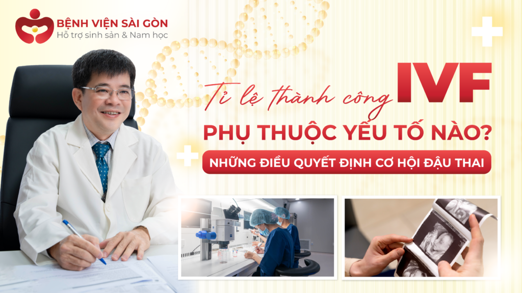 TỶ LỆ THÀNH CÔNG IVF PHỤ THUỘC YẾU TỐ NÀO? NHỮNG ĐIỀU QUYẾT ĐỊNH CƠ HỘI ĐẬU THAI