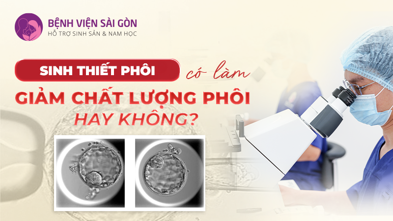 SINH THIẾT PHÔI CÓ LÀM GIẢM CHẤT LƯỢNG PHÔI KHÔNG? 