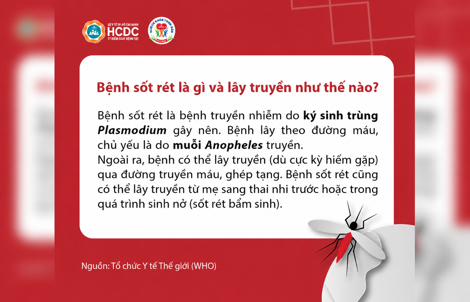 Muỗi Anopheles chính là nguyên nhân gây ra bệnh sốt rét