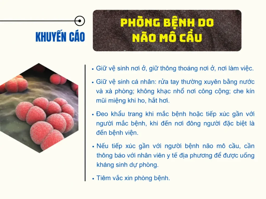 Một số khuyến cáo phòng bệnh do não mô cầu