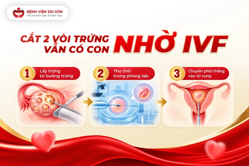 IVF là phương pháp phù hợp cho phụ nữ đã cắt hoặc tắc cả hai vòi trứng