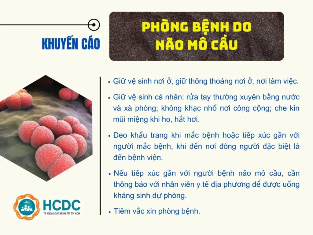 Tìm hiểu và học cách phòng bệnh não mô cầu. Ảnh: HCDC